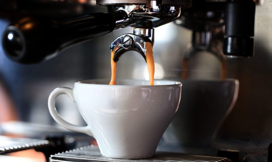 Kaffee: Das Genussmittel im Check